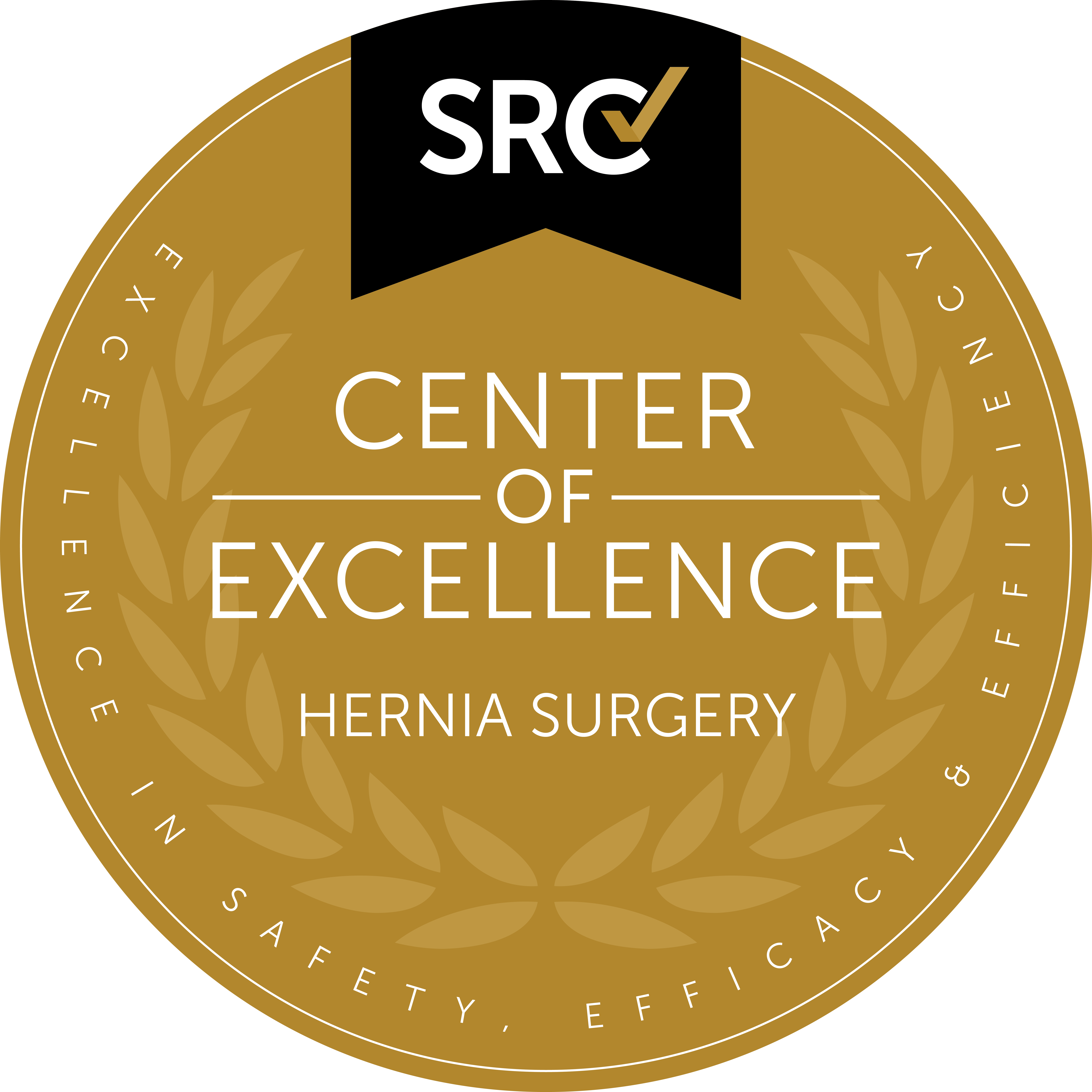 SRC Center of Excellence in Hernia Surgery seal